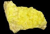 Sulfur Crystals on Matrix - Bolivia #66296-1